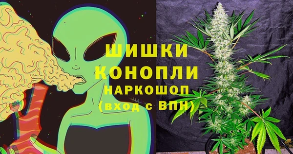 трава Нея