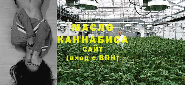 МДПВ Нефтегорск