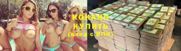 МДПВ Нефтегорск