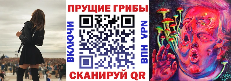 Купить  Новоузенск  Псилоцибиновые грибы Cubensis 