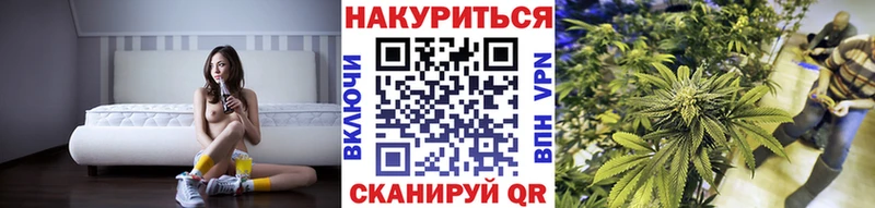 Канабис Ganja  Купить закладки  Новоузенск 